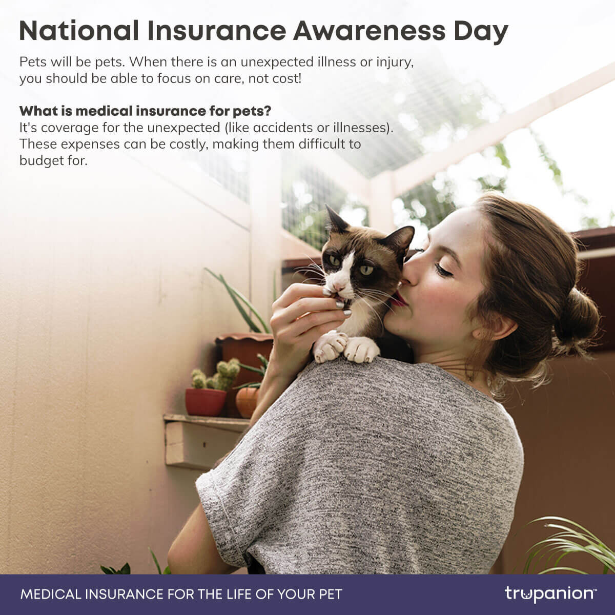 Promoboxx Example Content